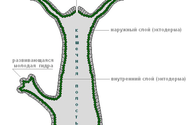 Кракен даркмаркет плейс