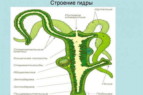 Кракен через тор