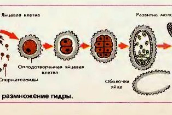 Кракен ссылка тор kraken014 com